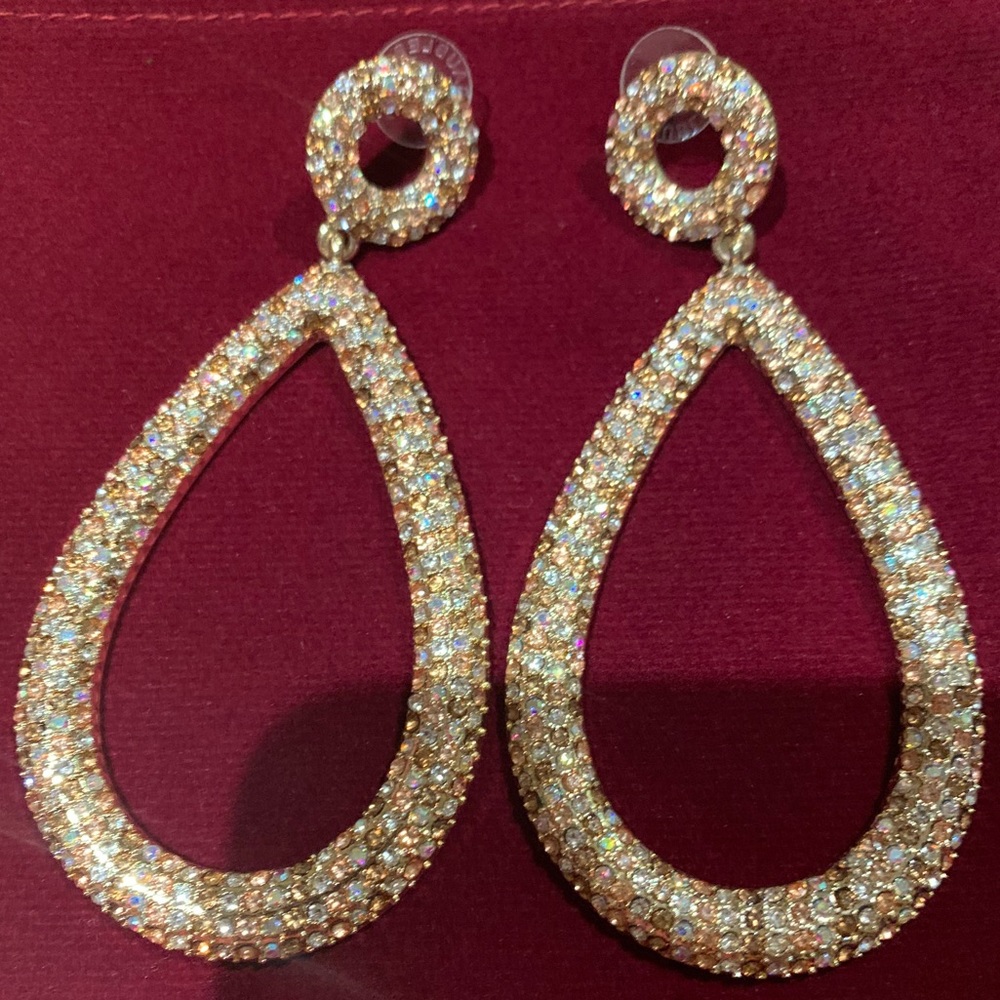 Crystal Statement Earrings - image 1